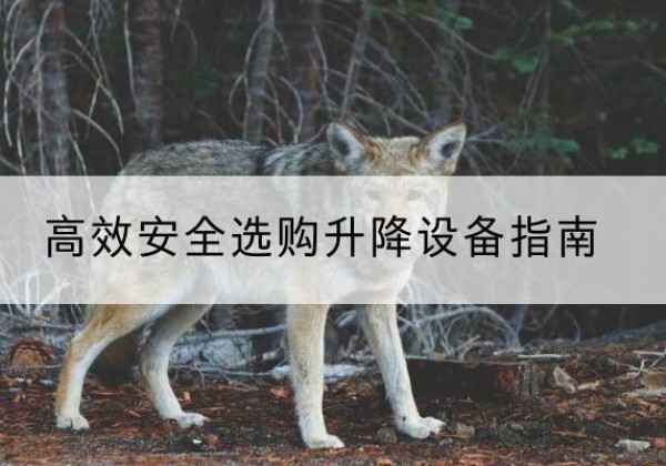 可克达拉升降货梯厂家推荐-*安全选购升降设备指南