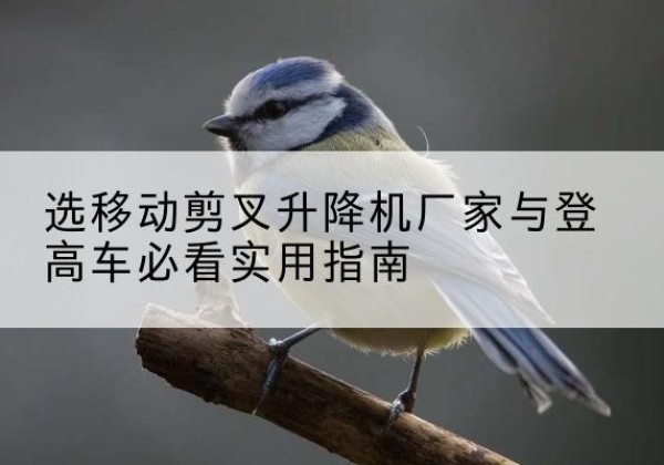 可克达拉电动升降机厂家-选移动剪叉升降机厂家与登高车必看实用指南