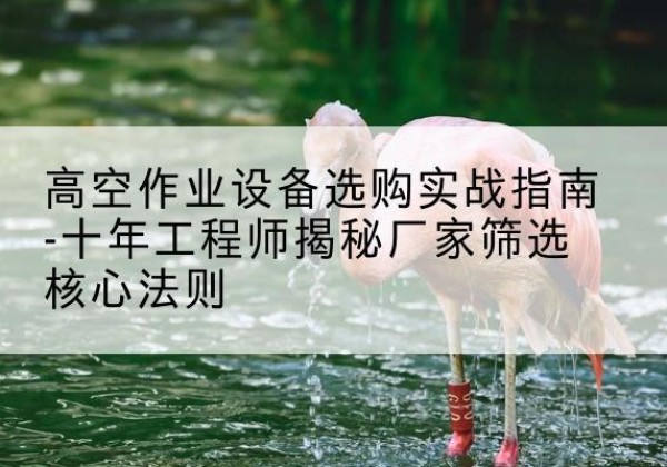 可克达拉剪叉式升降机厂家-高空作业设备选购实战指南-十年工程师揭秘厂家筛选核心法则